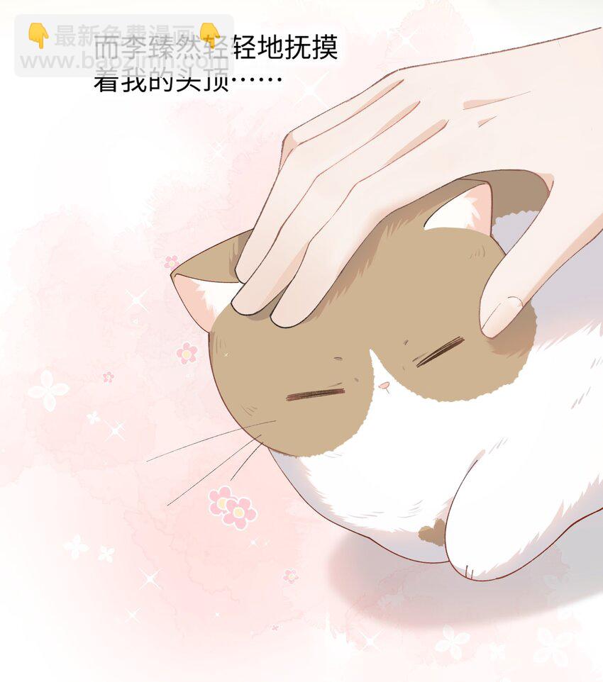 《加菲猫复仇记》014 躲开了！？？？ 第22页