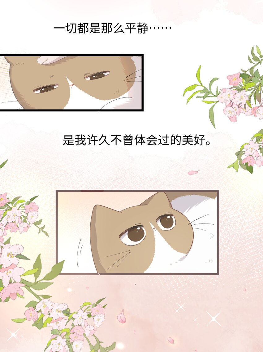 《加菲猫复仇记》014 躲开了！？？？ 第23页