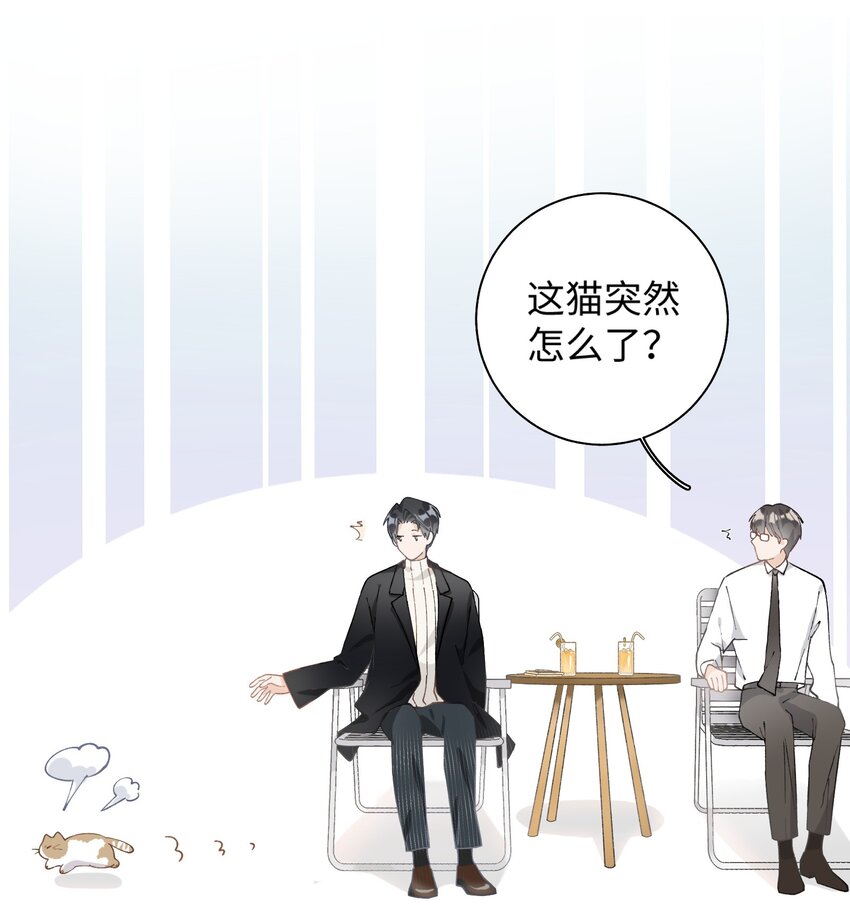 《加菲猫复仇记》014 躲开了！？？？ 第34页