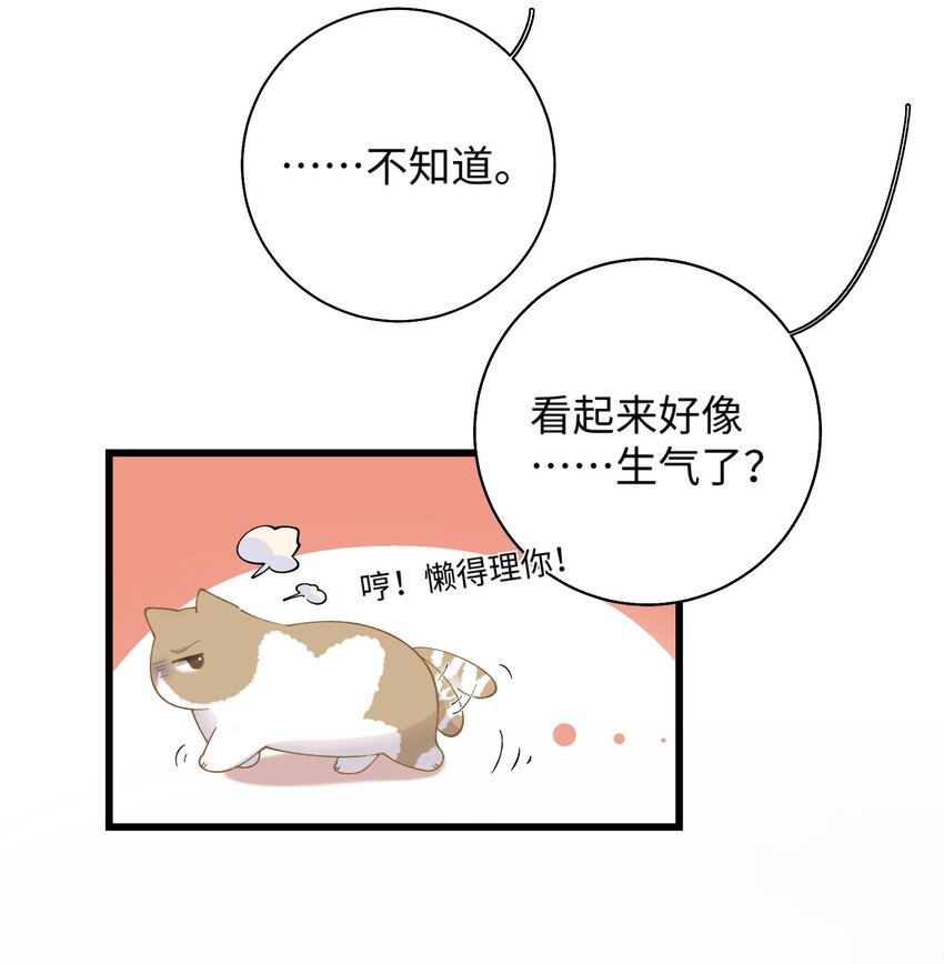 《加菲猫复仇记》014 躲开了！？？？ 第35页