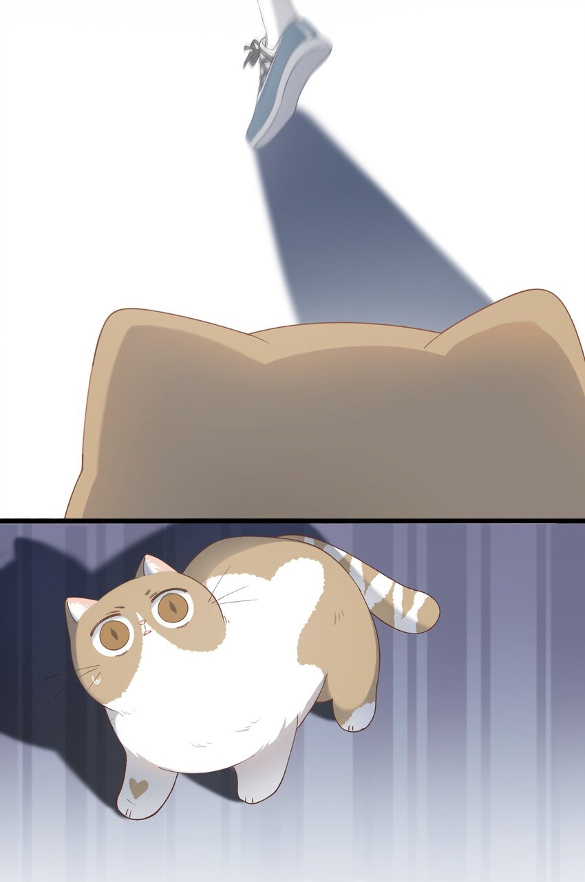 《加菲猫复仇记》014 躲开了！？？？ 第37页