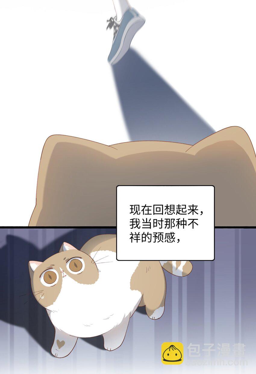《加菲猫复仇记》015 原则喂了小鱼干 第12页