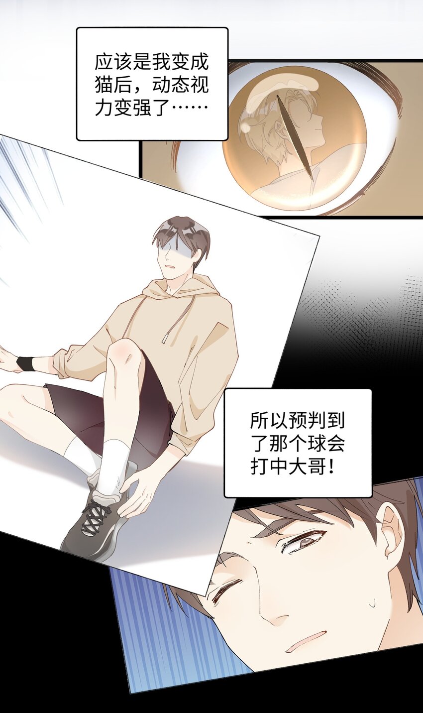 《加菲猫复仇记》015 原则喂了小鱼干 第13页