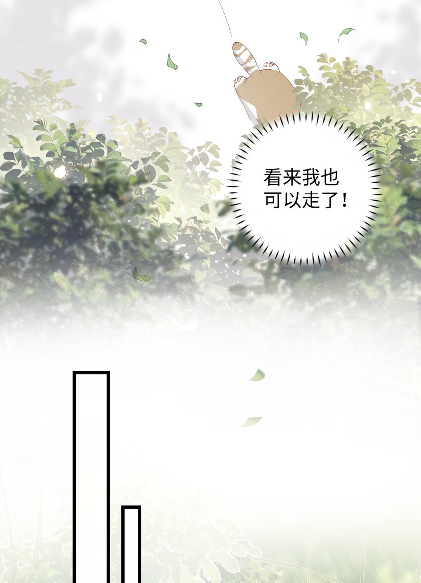 《加菲猫复仇记》015 原则喂了小鱼干 第23页