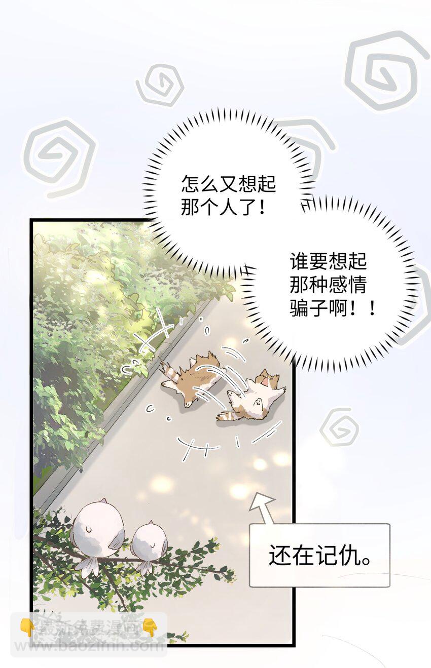 《加菲猫复仇记》015 原则喂了小鱼干 第29页