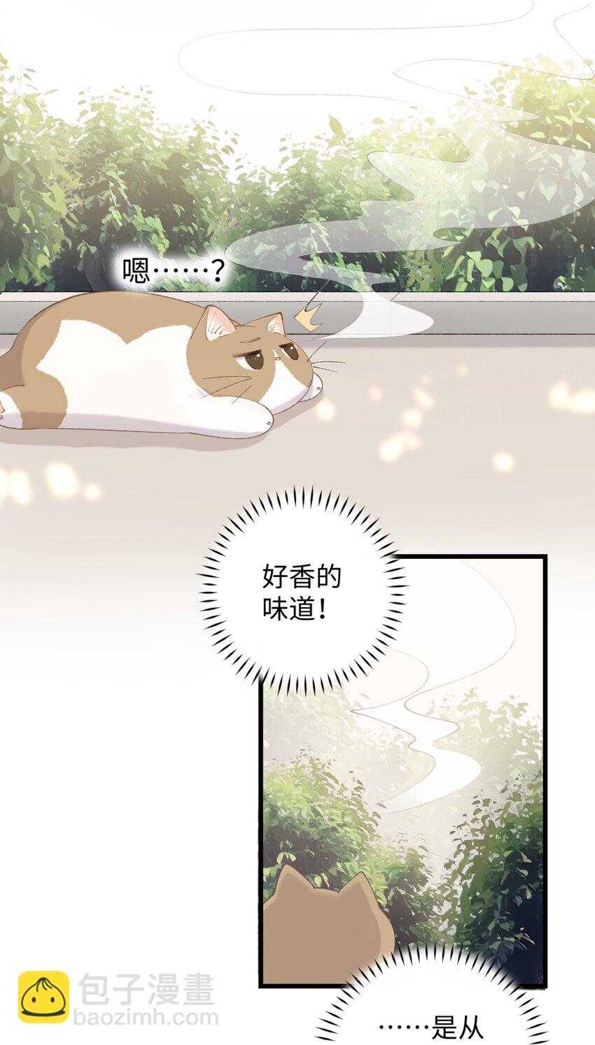 《加菲猫复仇记》015 原则喂了小鱼干 第30页