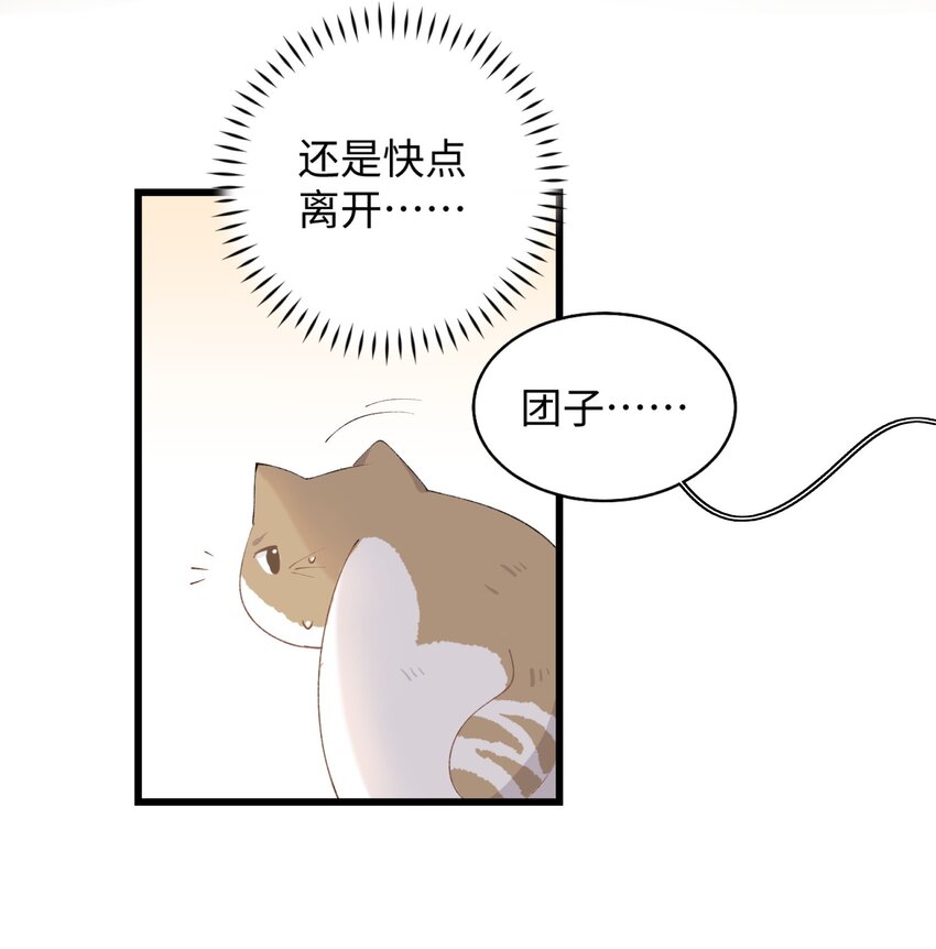 《加菲猫复仇记》015 原则喂了小鱼干 第34页