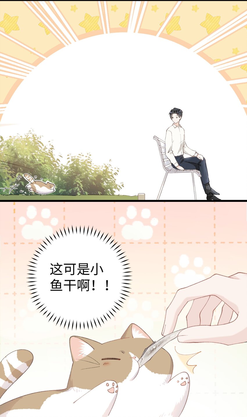 《加菲猫复仇记》015 原则喂了小鱼干 第38页