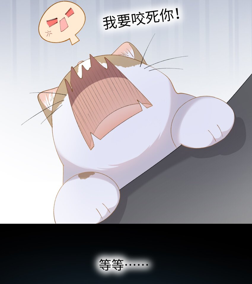 《加菲猫复仇记》016 壕 无 人 性 第36页