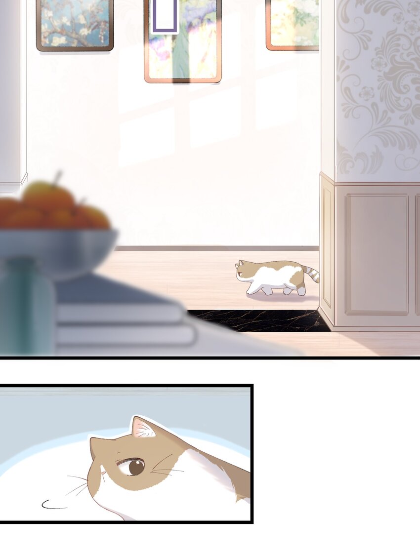 《加菲猫复仇记》016 壕 无 人 性 第6页