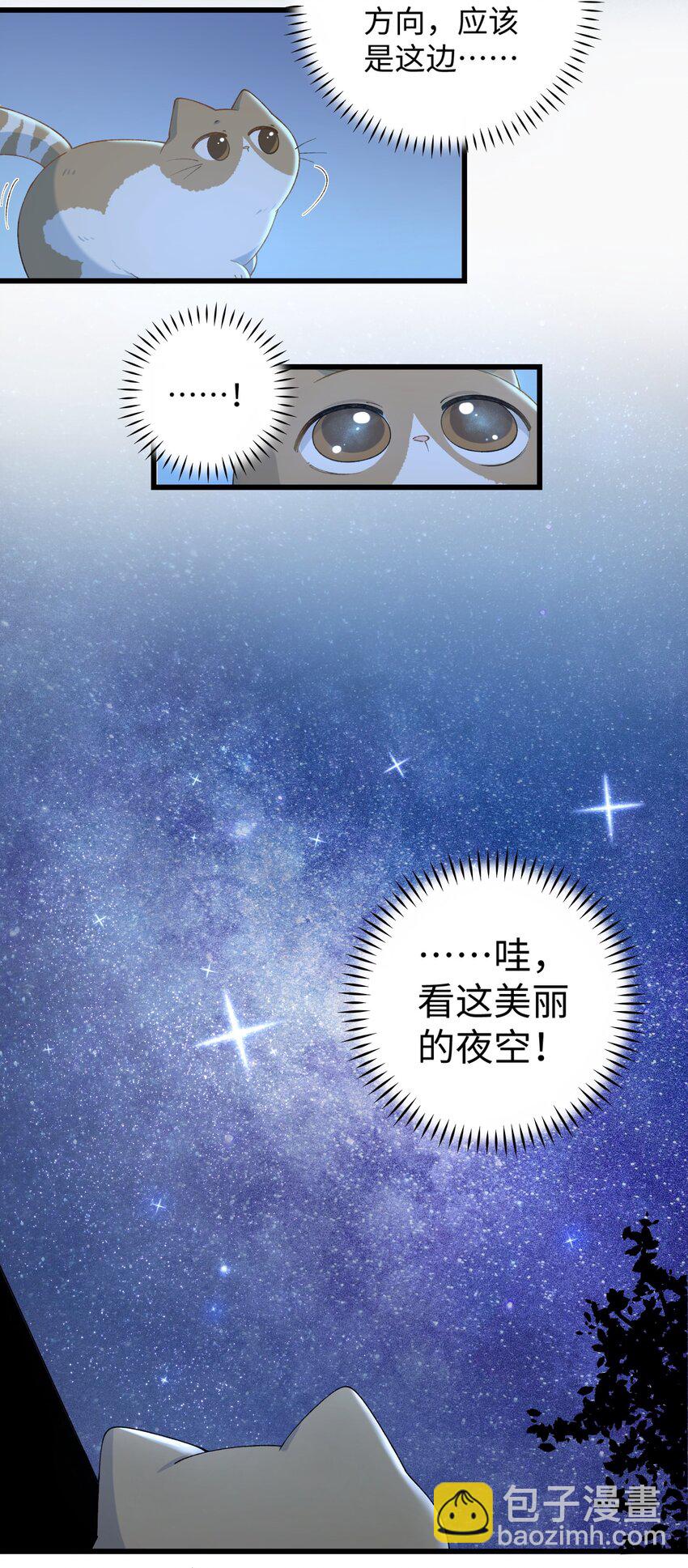 《加菲猫复仇记》020 祸不单行 ！ 第10页