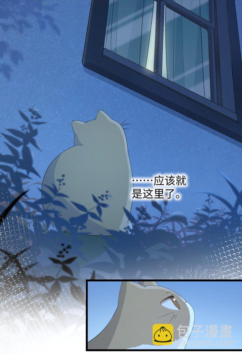 《加菲猫复仇记》020 祸不单行 ！ 第18页