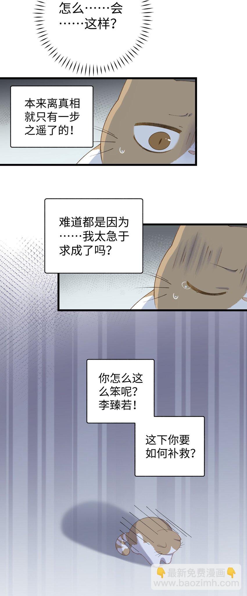 《加菲猫复仇记》020 祸不单行 ！ 第35页