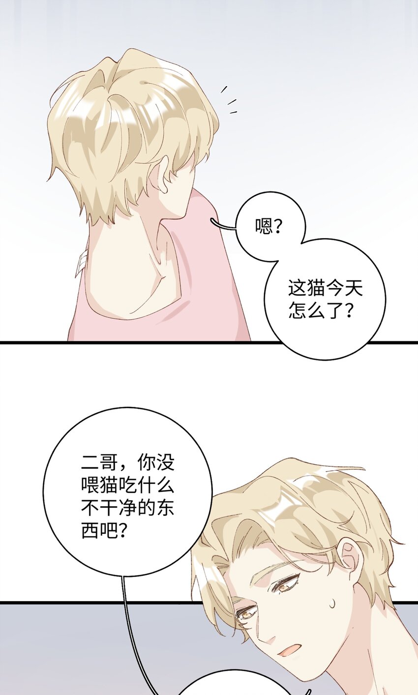 《加菲猫复仇记》020 祸不单行 ！ 第36页