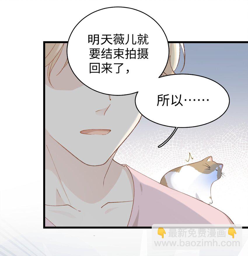 《加菲猫复仇记》020 祸不单行 ！ 第38页