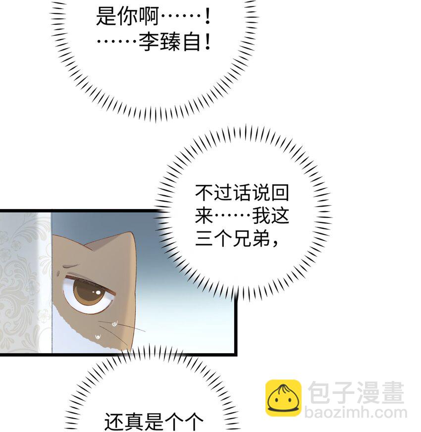 《加菲猫复仇记》019 萌混过关 第11页