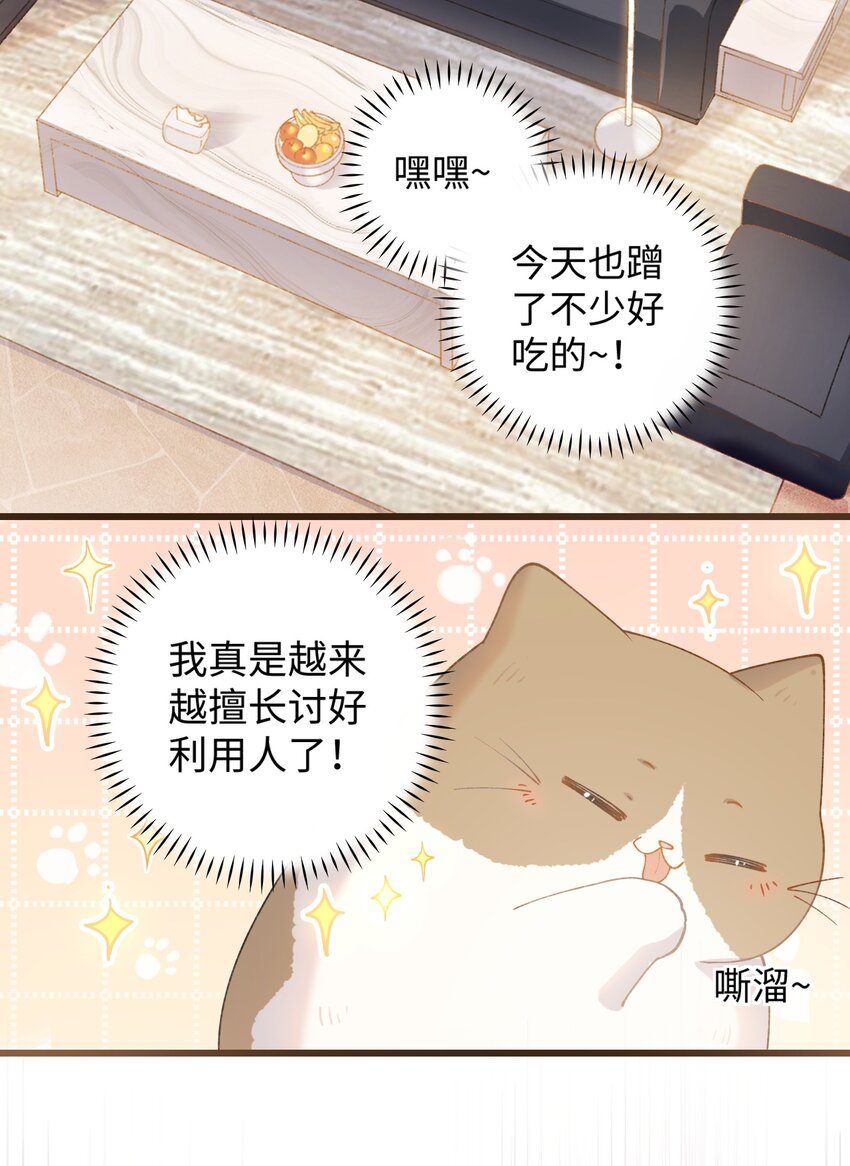 《加菲猫复仇记》019 萌混过关 第25页