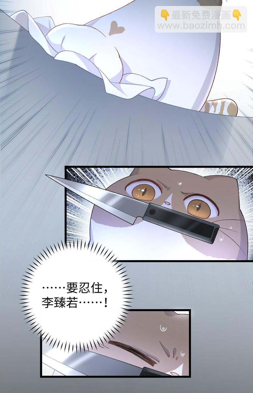 《加菲猫复仇记》018 逮到你了！ 第37页