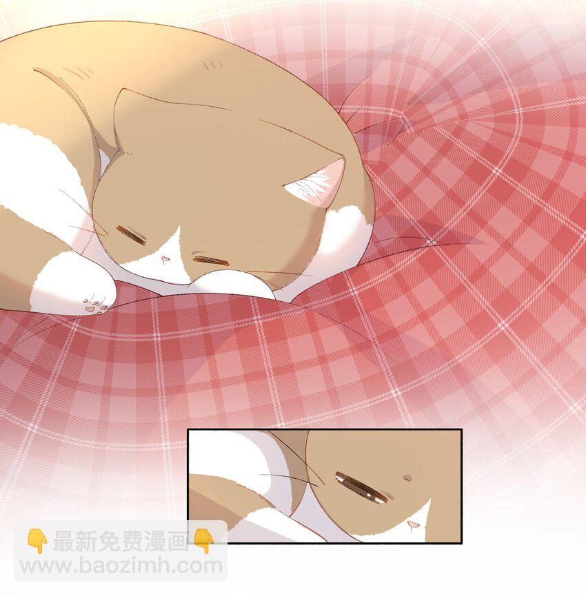《加菲猫复仇记》018 逮到你了！ 第5页