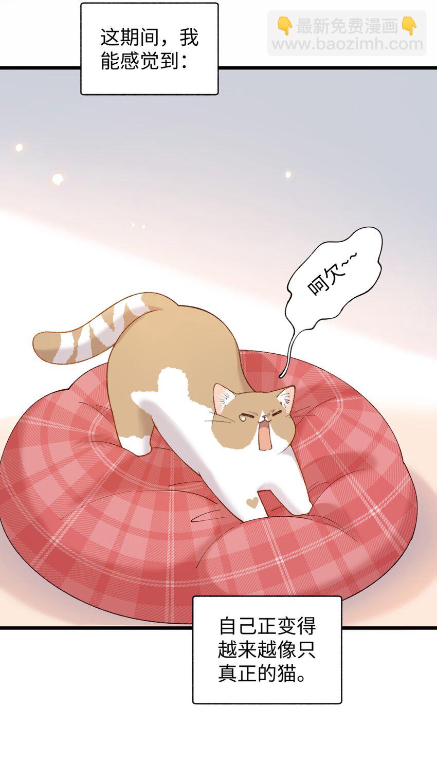 《加菲猫复仇记》018 逮到你了！ 第6页