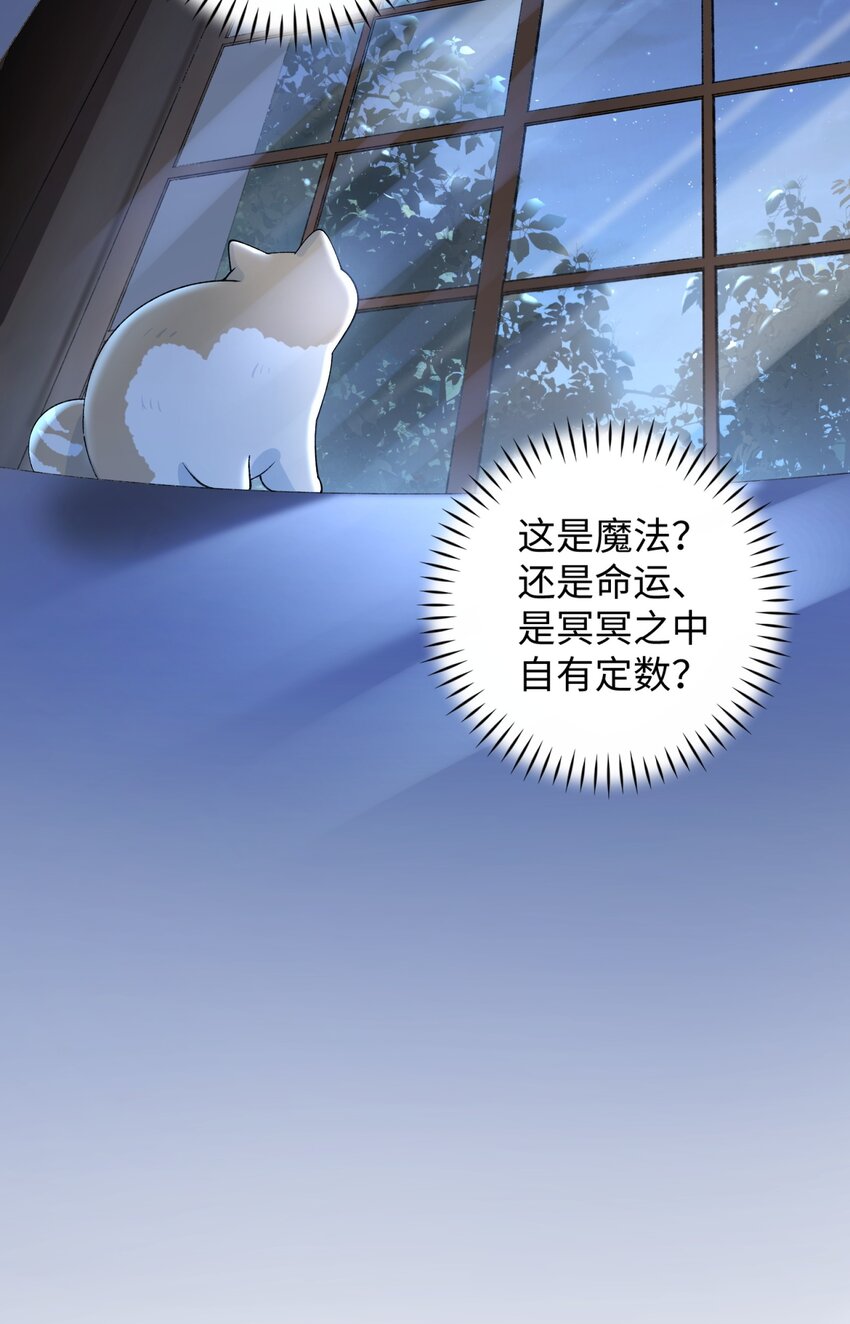 《加菲猫复仇记》017 李·福尔摩斯·机智·团儿 第16页