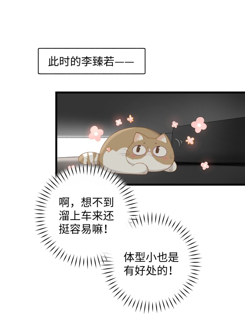 《加菲猫复仇记》017 李·福尔摩斯·机智·团儿 第31页