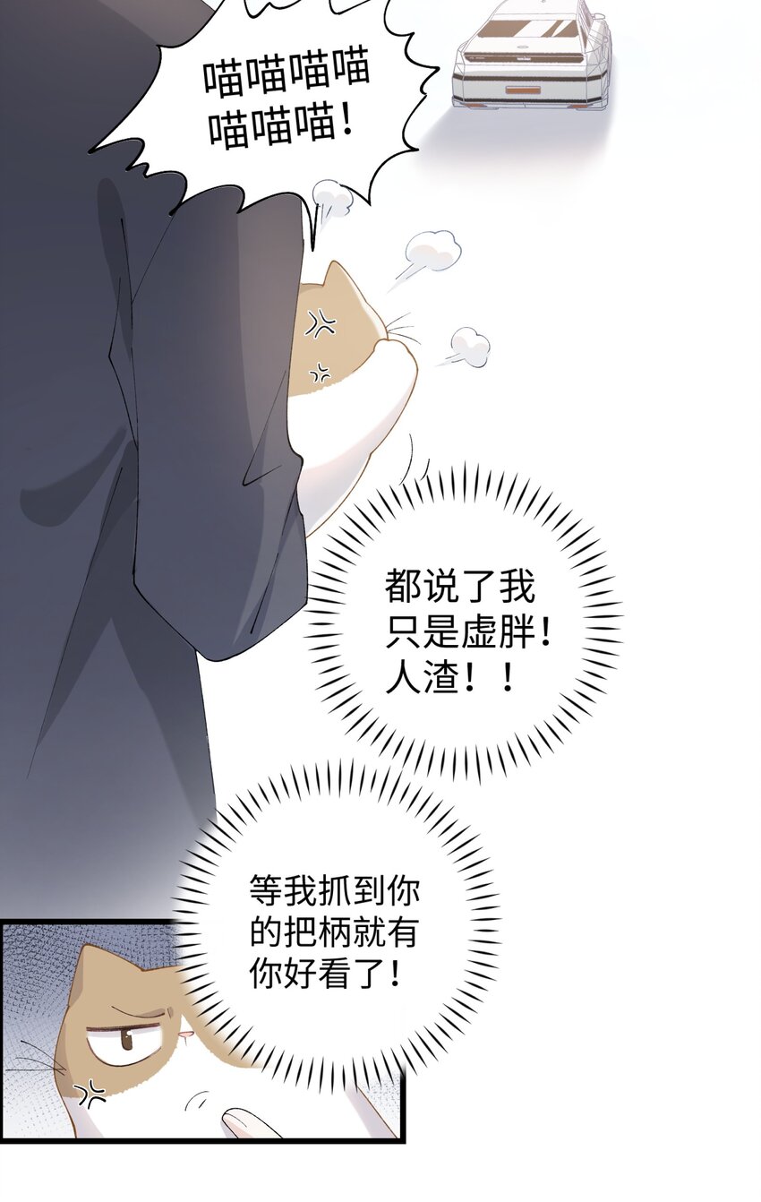 《加菲猫复仇记》017 李·福尔摩斯·机智·团儿 第37页