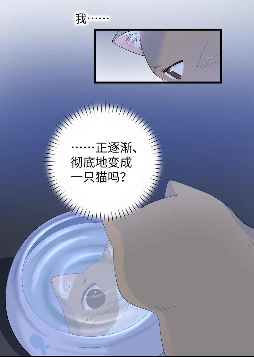 《加菲猫复仇记》017 李·福尔摩斯·机智·团儿 第5页