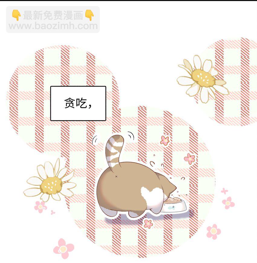《加菲猫复仇记》017 李·福尔摩斯·机智·团儿 第6页