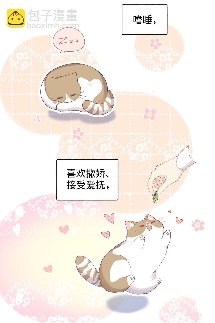 《加菲猫复仇记》017 李·福尔摩斯·机智·团儿 第7页