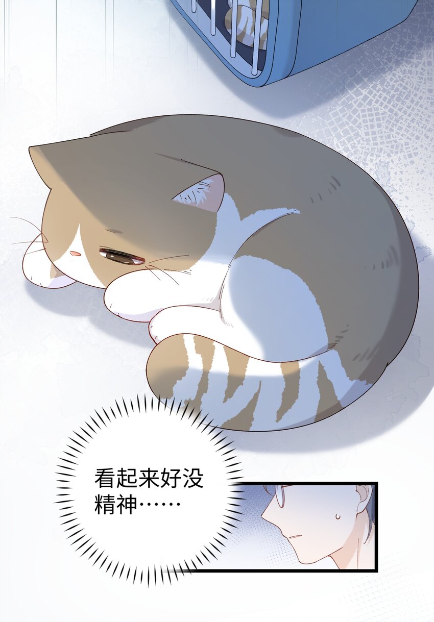 《加菲猫复仇记》022 梦幻开局 第27页