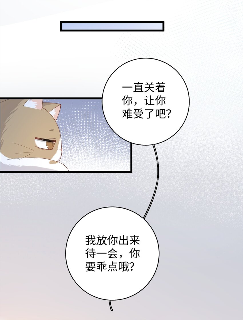《加菲猫复仇记》022 梦幻开局 第28页