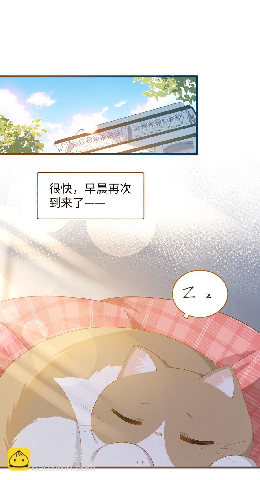 《加菲猫复仇记》022 梦幻开局 第2页