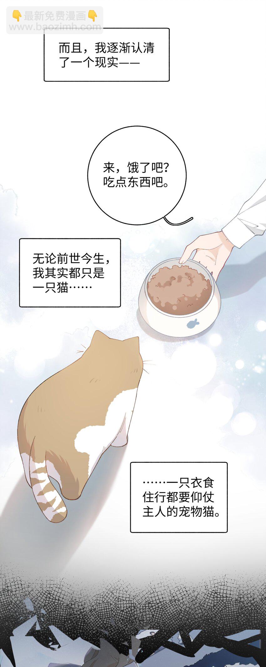 《加菲猫复仇记》022 梦幻开局 第31页