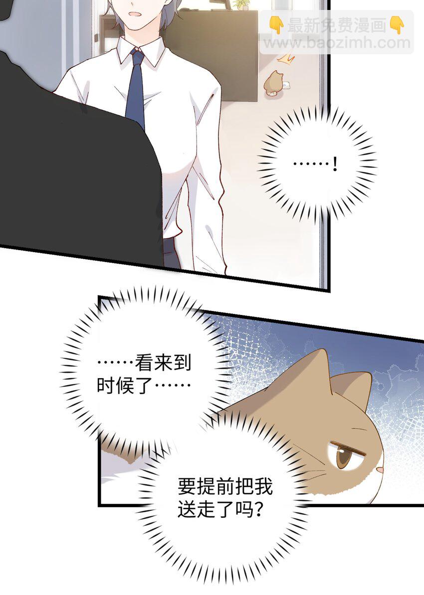 《加菲猫复仇记》022 梦幻开局 第35页