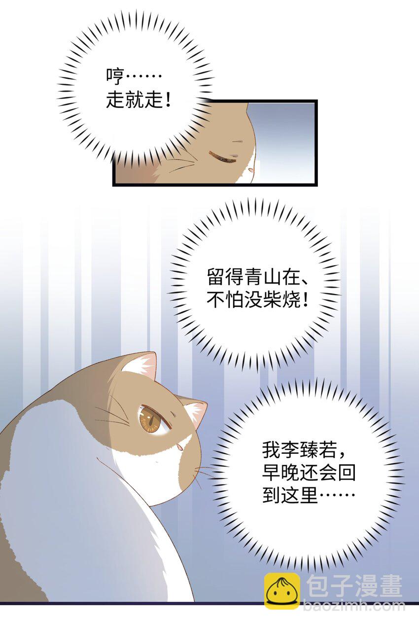 《加菲猫复仇记》022 梦幻开局 第36页