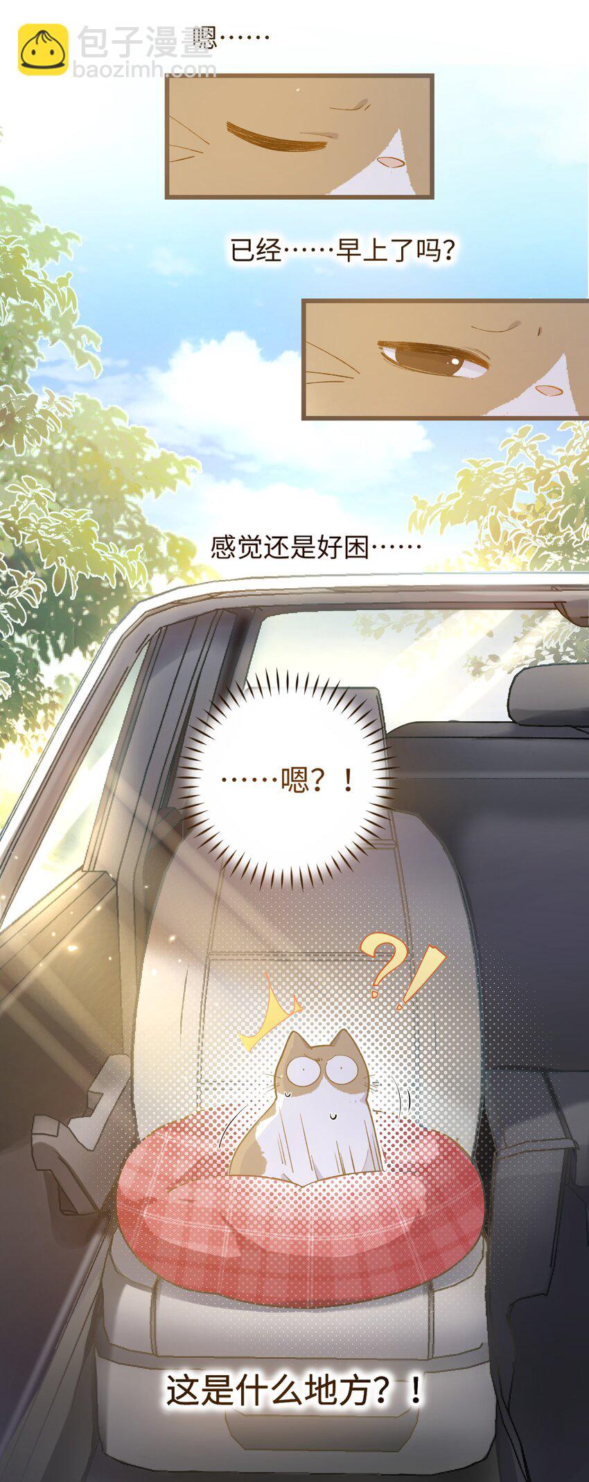 《加菲猫复仇记》022 梦幻开局 第3页