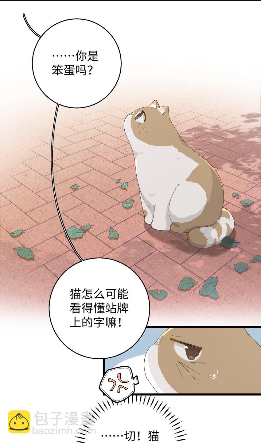 《加菲猫复仇记》024 修猫咪逃逸成功 第18页