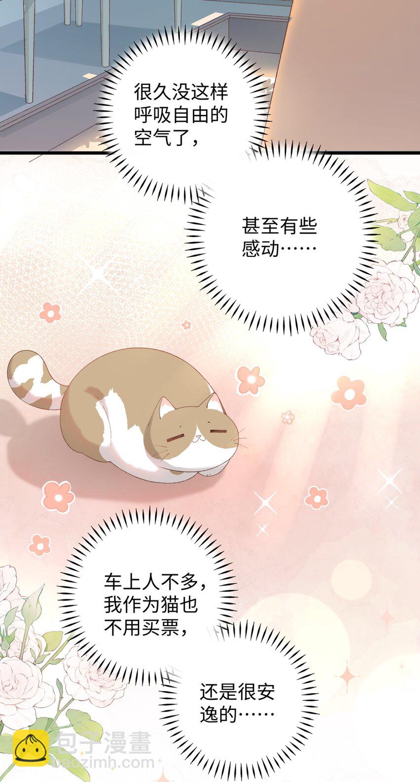 《加菲猫复仇记》024 修猫咪逃逸成功 第22页