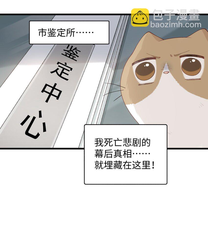《加菲猫复仇记》024 修猫咪逃逸成功 第30页
