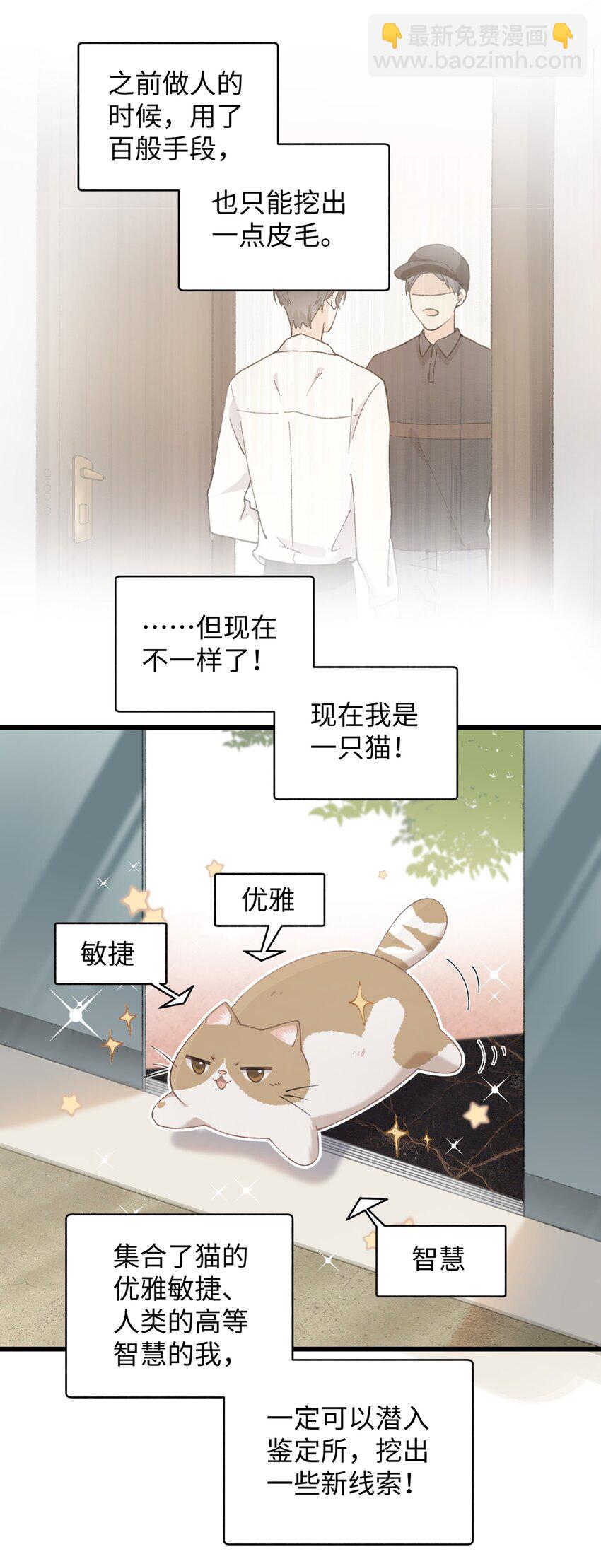 《加菲猫复仇记》024 修猫咪逃逸成功 第31页