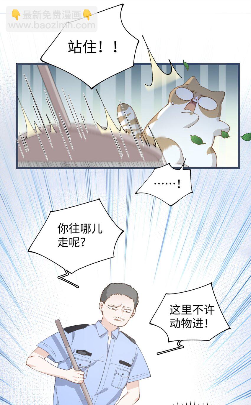 《加菲猫复仇记》024 修猫咪逃逸成功 第32页