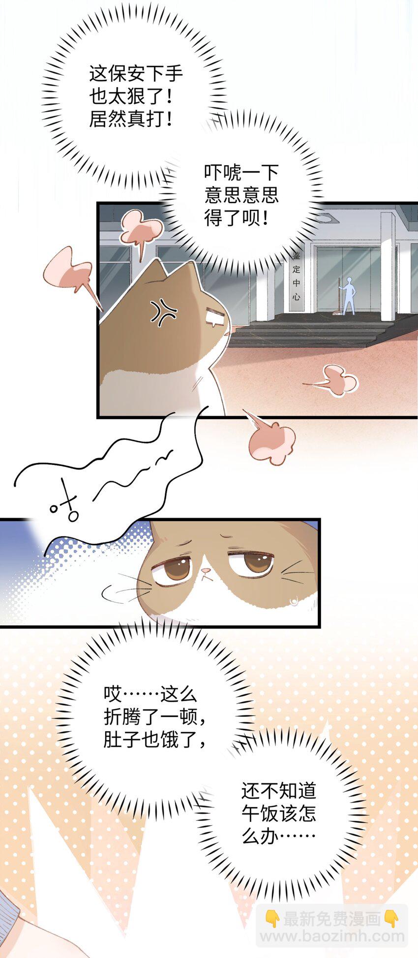 《加菲猫复仇记》024 修猫咪逃逸成功 第35页