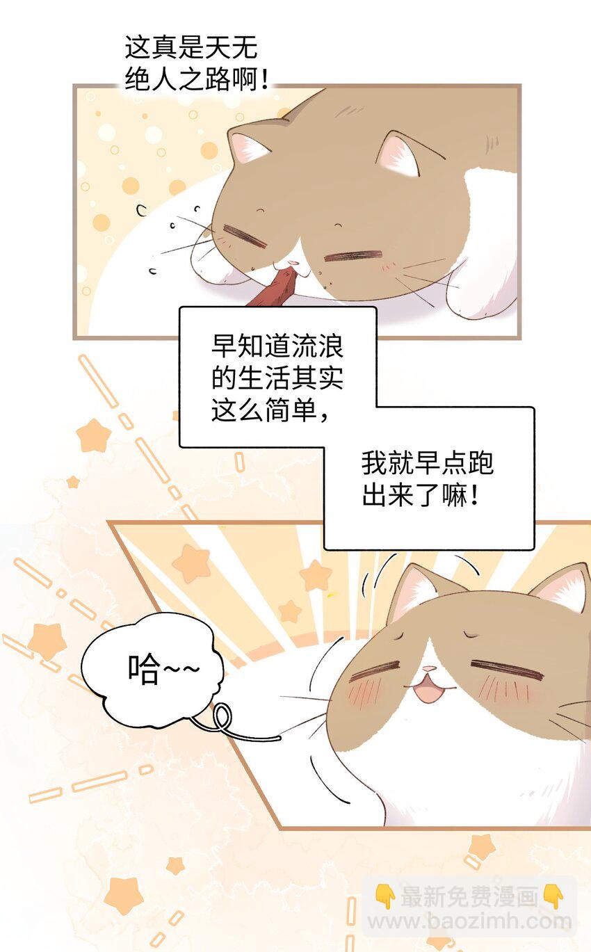 《加菲猫复仇记》024 修猫咪逃逸成功 第38页