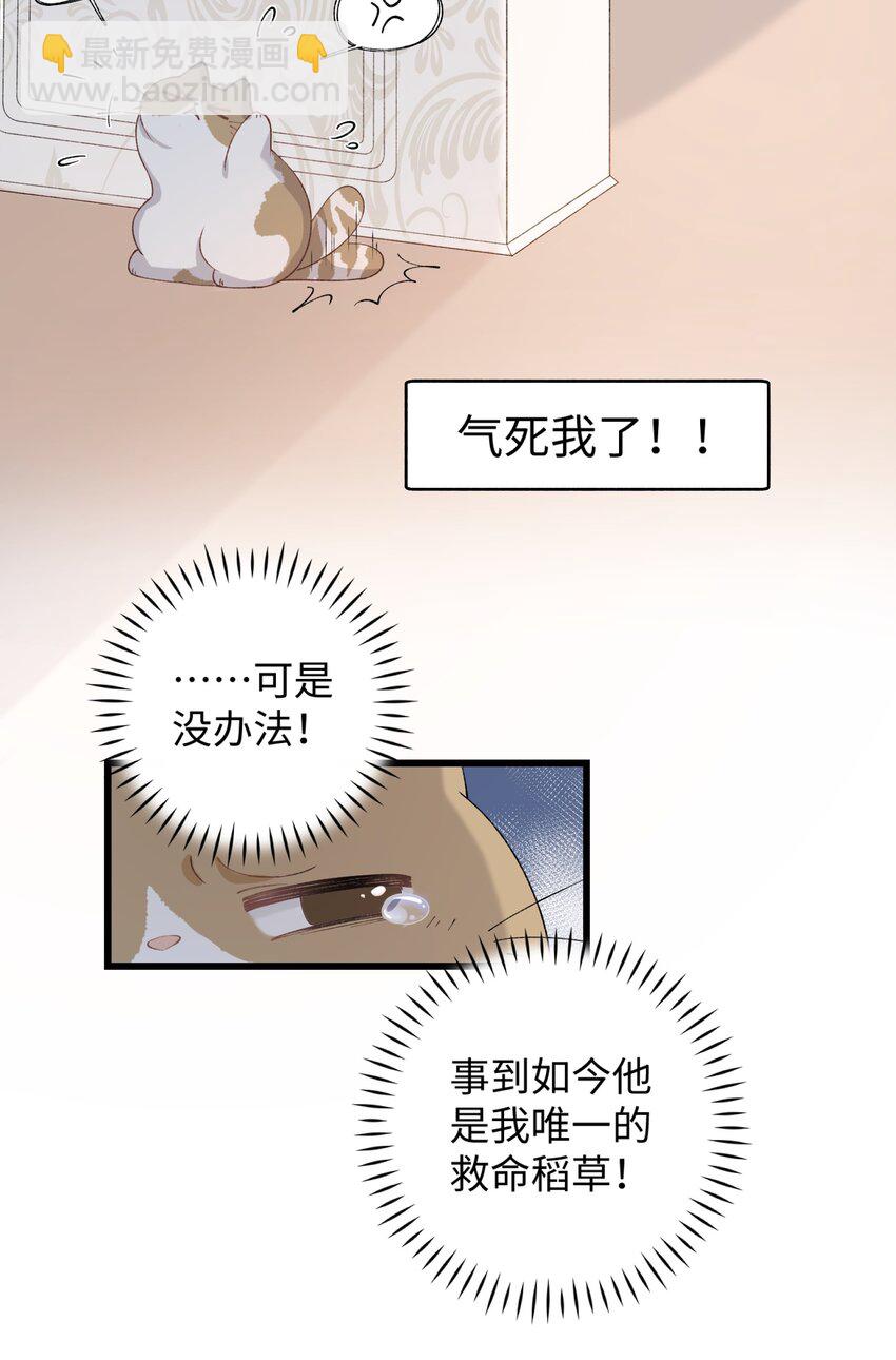 《加菲猫复仇记》021 看看我鸭！ 第8页
