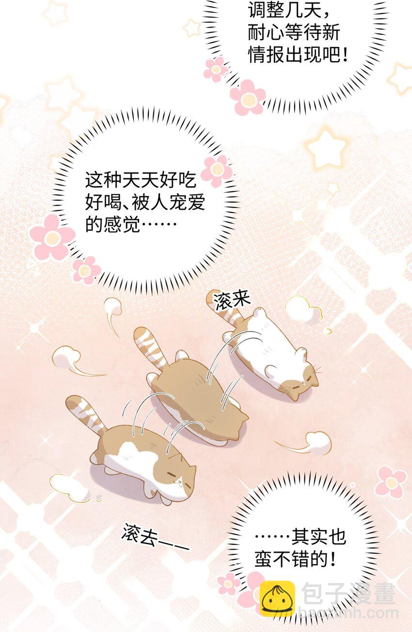 《加菲猫复仇记》023 他们在说什么……？ 第19页