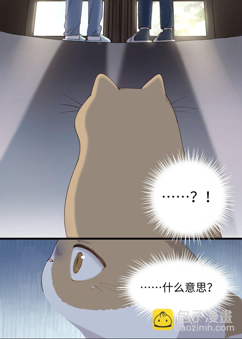 《加菲猫复仇记》023 他们在说什么……？ 第34页