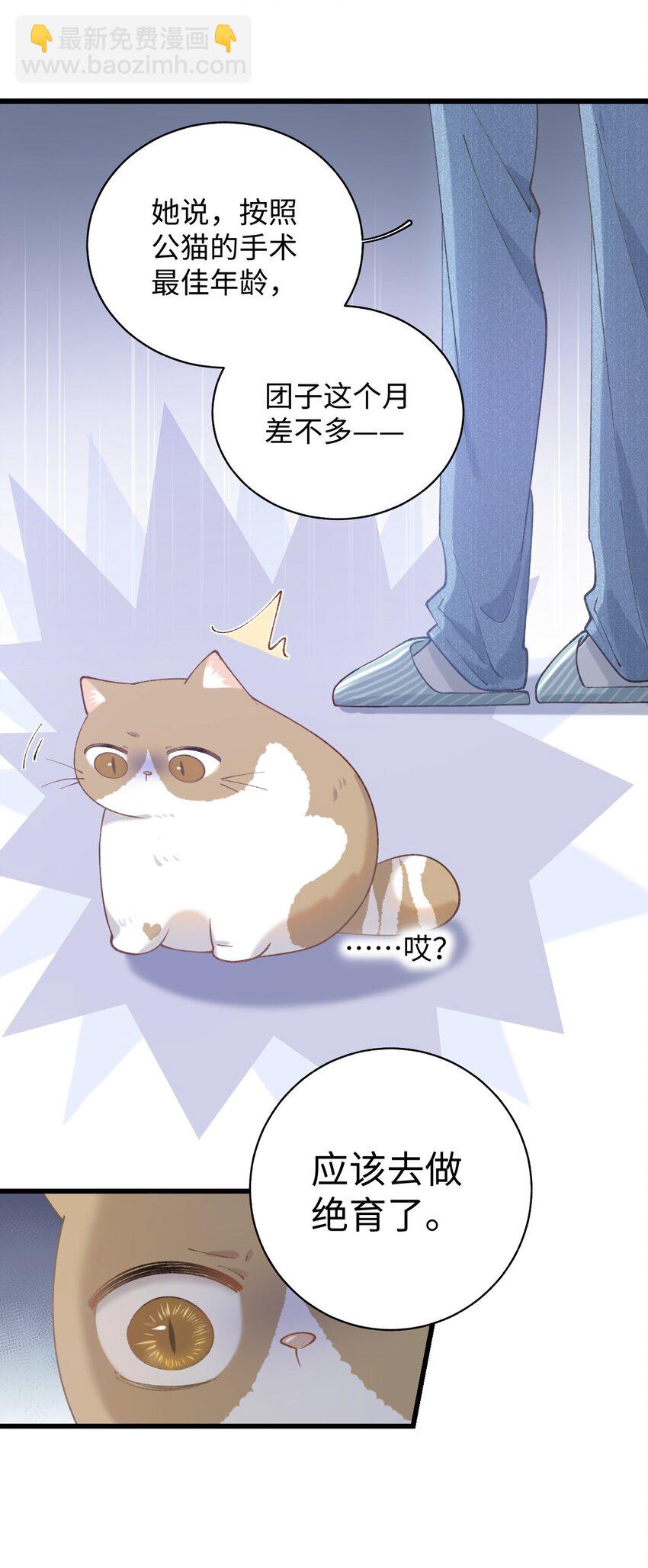 《加菲猫复仇记》023 他们在说什么……？ 第42页
