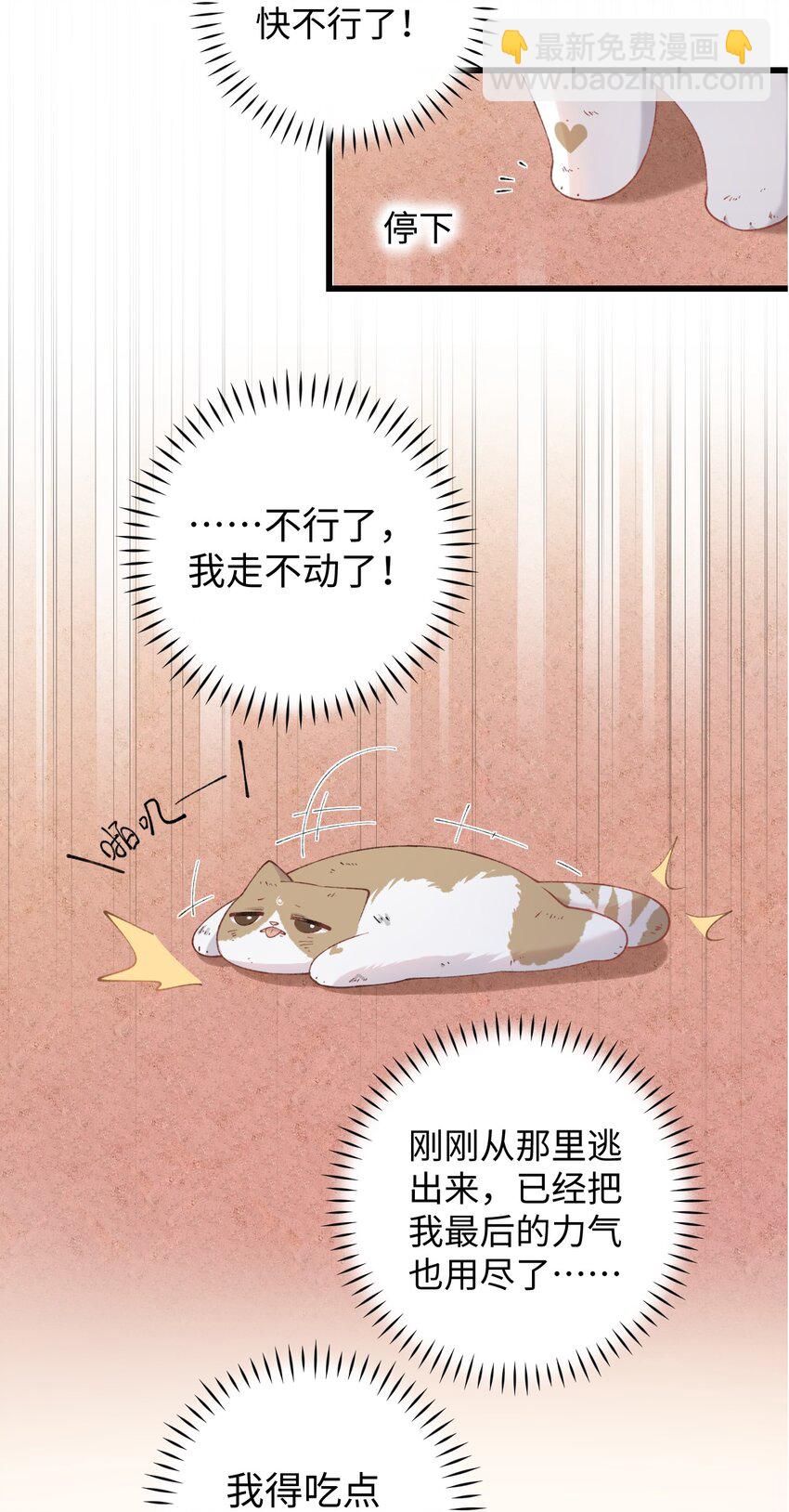 《加菲猫复仇记》026 危！ 第10页