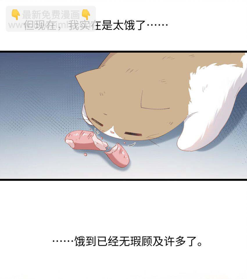 《加菲猫复仇记》026 危！ 第17页